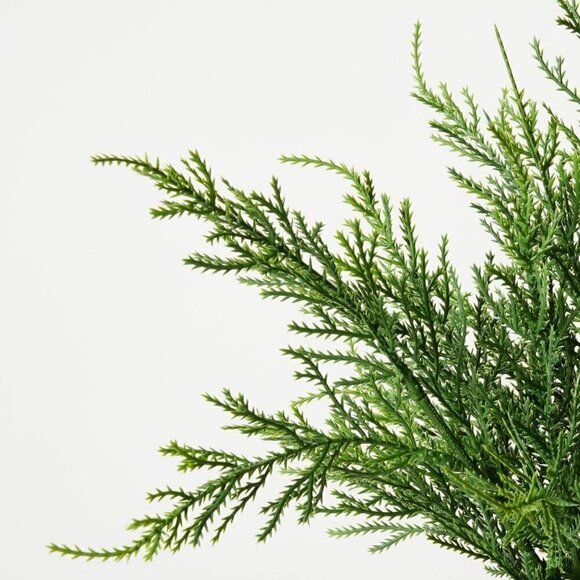 Studio McGee Small Potted Cypress - Threshold - Picture 4 of 7